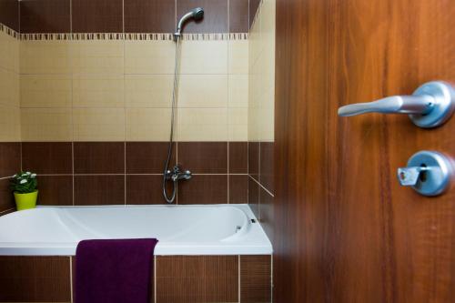 a bathroom with a shower with a bath tub at Grand Budapest Penthouse in Budapest