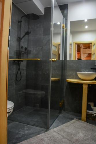 a bathroom with a shower with a toilet and a sink at Okno na gorce in Frydman
