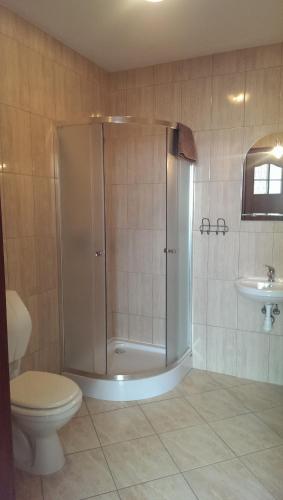 a bathroom with a shower and a toilet and a sink at Hotel & Restauracja Okrąglak in Chęciny