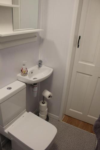 a white bathroom with a toilet and a sink at Torbay Annexe in Torquay