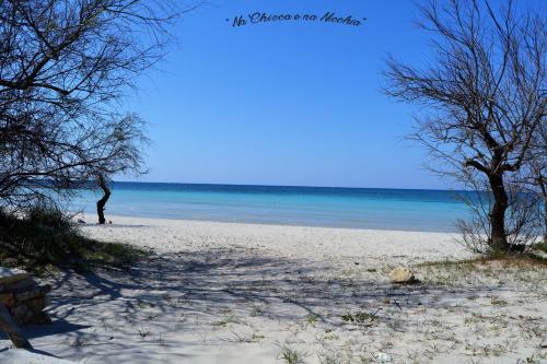 a beach with trees and the ocean in the background at Na Chicca e na Nicchia in San Pancrazio Salentino
