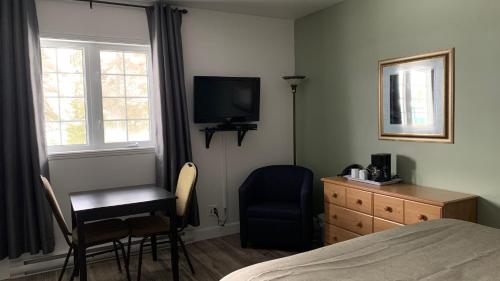 a bedroom with a bed and a tv and a chair at Motel Des Cascades in Baie-Saint-Paul