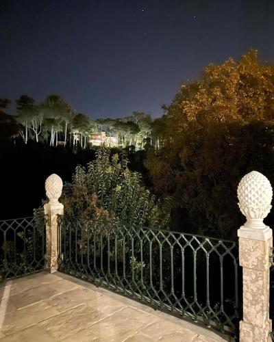 a wrought iron fence with trees in the background at Casa Holstein Quinta de Sao Sebastiao Sintra in Sintra