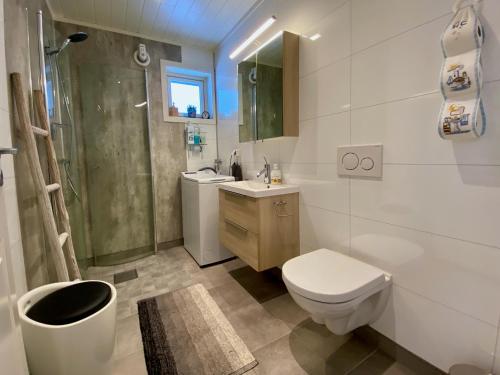 Fredvang的住宿－Fredvang Panorama Lofoten，浴室配有卫生间、盥洗盆和淋浴。