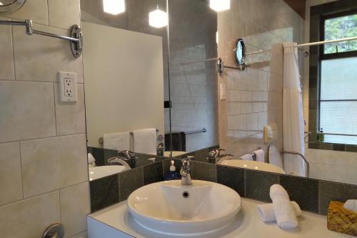 a bathroom with a sink and a mirror at Moon Dance Perch in Madeira Park