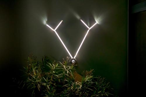a group of lights in the dark with a plant at Leśna Kąpiel in Karpacz