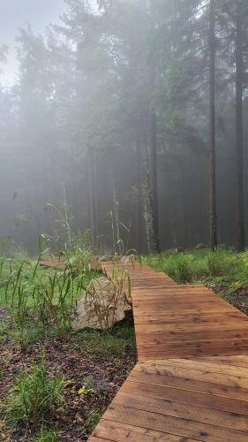a wooden path in a foggy forest with trees at Leśna Kąpiel in Karpacz