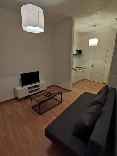 un salon avec un canapé noir et une télévision dans l'établissement Studio au cœur du quartier historique, à Narbonne