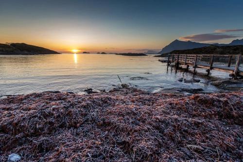 Afbeelding uit fotogalerij van Lofoten - New apartment, close to airport. in Leknes