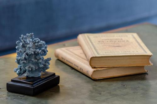 a book and a tree on a table at Westlight Cascais Chalet - Adults Only in Cascais