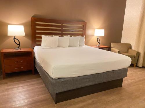a bedroom with a bed with two lamps and a chair at Wyndham Garden Grand Rapids Airport in Grand Rapids