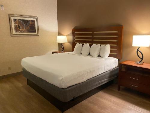 a large bed in a hotel room with two lamps at Wyndham Garden Grand Rapids Airport in Grand Rapids