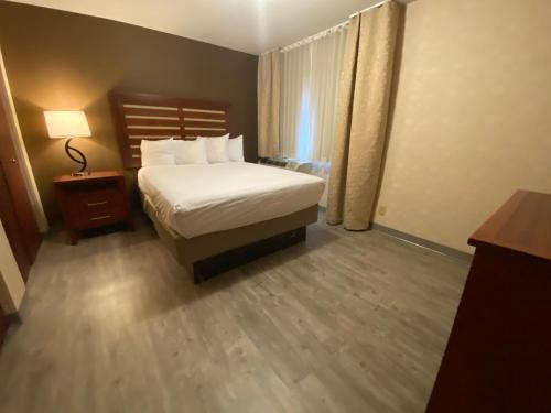 a hotel room with a bed and a window at Wyndham Garden Grand Rapids Airport in Grand Rapids