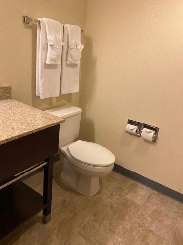 a bathroom with a white toilet and towels at Wyndham Garden Grand Rapids Airport in Grand Rapids