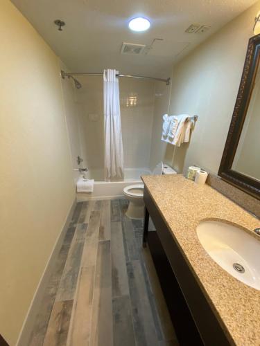 a bathroom with a sink and a toilet and a mirror at Wyndham Garden Grand Rapids Airport in Grand Rapids
