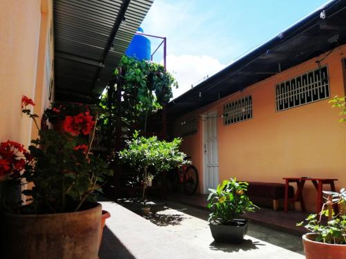a courtyard of a house with potted plants at Hostal Mariella in Estelí