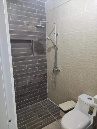 a bathroom with a shower with a toilet and a sink at Samana house in Santa Bárbara de Samaná