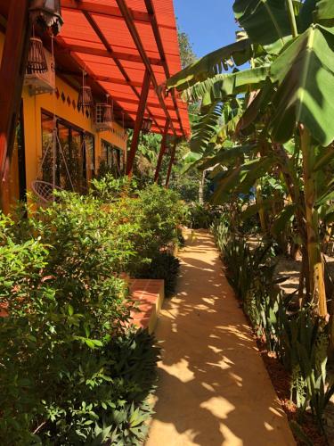Κήπος έξω από το One World Bungalows