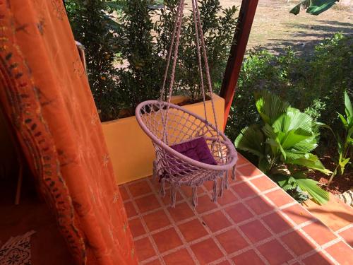 Κήπος έξω από το One World Bungalows