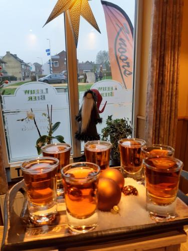a tray with glasses of whiskey and a bird in a window at Hotel-Cafe Knoors-Meeks Stein Urmond in Berg