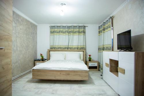 a bedroom with a bed and a tv in it at CASA ALESIA SI ERIC in Jiblea Veche