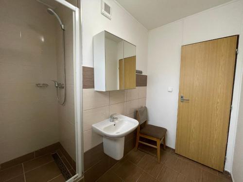 La salle de bains est pourvue de toilettes, d'un lavabo et d'une douche. dans l'établissement Hostel U Sv. Štěpána, à Litoměřice