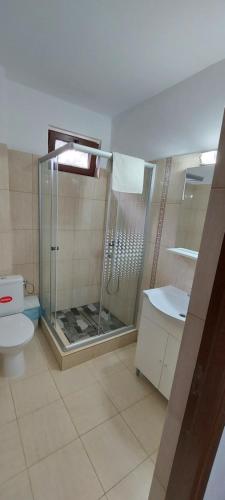 a bathroom with a shower and a toilet at Popasul din Lunca in Pui