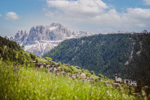 a village on a hill with mountains in the background at Alpinhotel Vajolet - Adults only in Tires