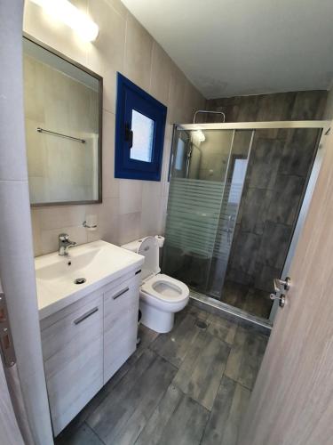 bagno con doccia, lavandino e servizi igienici di EDEM HOUSE FINIKAS a Loutro