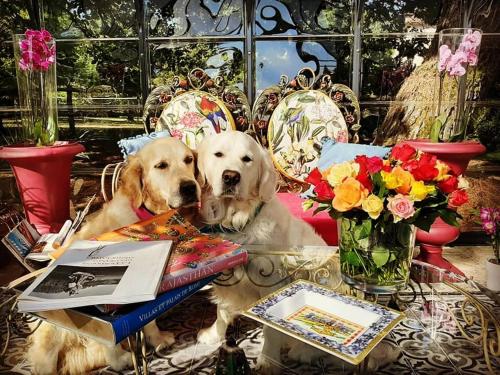 Φωτογραφία από το άλμπουμ του Domaine du Merlot σε Sainte-Sabine