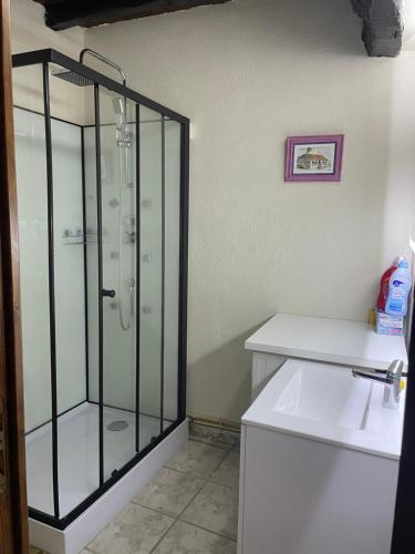 a bathroom with a shower and a white sink at A la petite maison de village in Sabarat