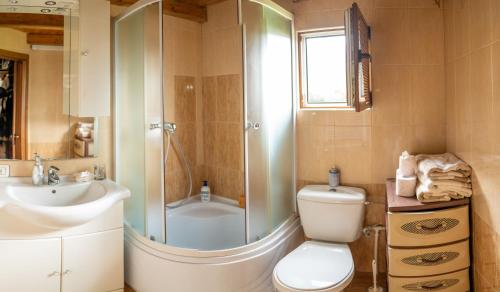 ボルシャにあるCabana Rusticのバスルーム(シャワー、トイレ、シンク付)