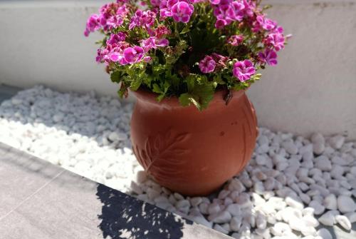 a vase filled with pink flowers sitting on gravel at Lord Complex in Agios Georgios