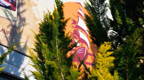 a group of plants in front of a wall at Gästehaus Parkblick in Rust