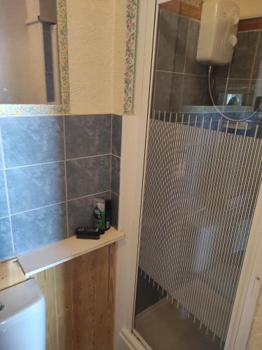 um chuveiro com uma porta de vidro na casa de banho em All Seasons Guesthouse em Douglas