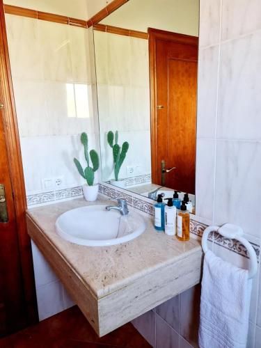 a bathroom with a sink and a mirror at Villas El Pinar in Cala en Blanes