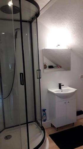 a bathroom with a shower and a sink at Royale bovenwoning in Vlake