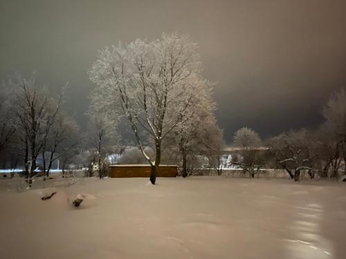 a snow covered field with two trees in the background at Ambarcasa Farm - Дом для уединения in Kalman'