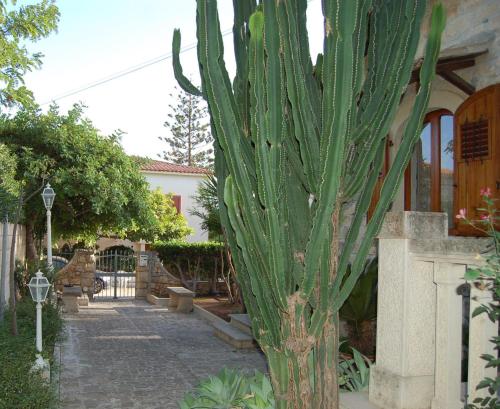 a cactusuanauanauanauanauanauanauanauanauanauanauanauanauana at Casa Romano - Marina di Modica in Marina di Modica