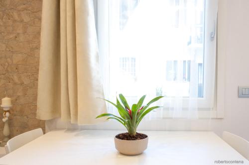 a plant sitting on a white table in front of a window at A CASA DI PATTY in Gorgonzola