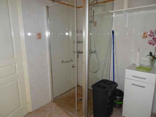 ein Badezimmer mit einer Dusche und einem Mülleimer in der Unterkunft Gite 3 étoiles les Nougers in La Tremblade