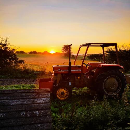a red tractor sitting in a field at sunset at Bastle Retreats Farm Cottage in Duns
