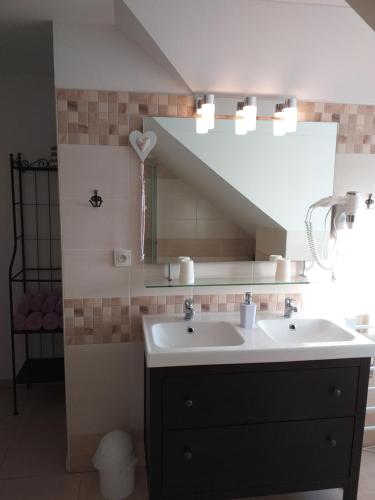 a bathroom with a sink and a mirror at Ubytování Farma U sv. Jakuba in Dolní Lánov