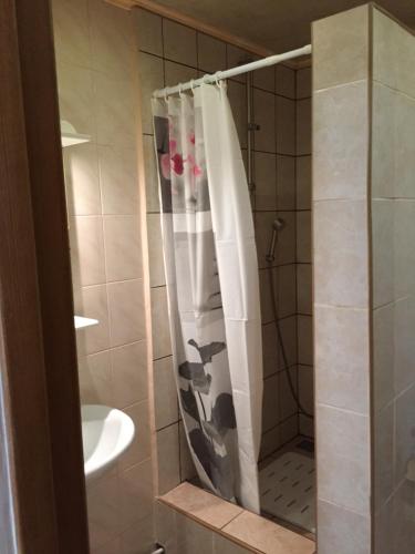 a shower with a shower curtain in a bathroom at Апартаменты в центре с парковкой in Cherkasy