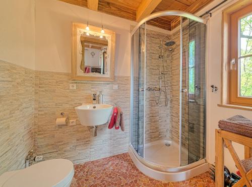 a bathroom with a shower and a sink and a toilet at Ferienhof Harr in Freudenstadt