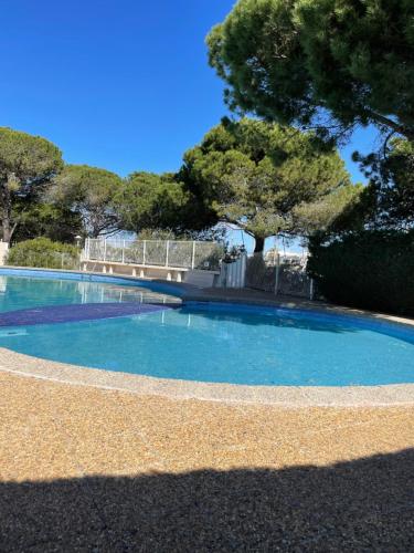 une grande piscine bleue avec des arbres en arrière-plan dans l'établissement Studio vue port, belle terrasse, piscine, au Grau-du-Roi