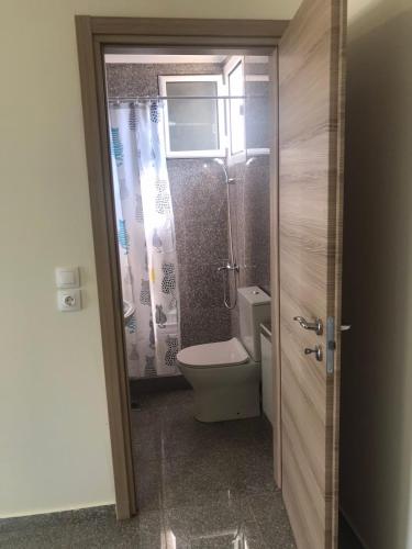a bathroom with a toilet and a shower at Nereids Apartments-Thetis in Petalidi
