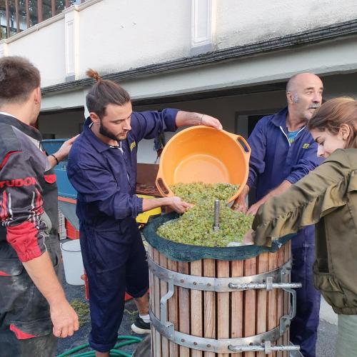a group of people standing around a barrel of grapes at Agriturismo B&B Chèvres à Cheval in Aosta