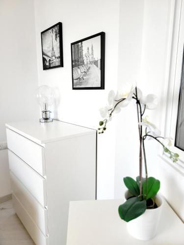 Studio LE LUXE au soleil face à la mer