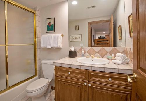 a bathroom with a toilet and a sink and a shower at 44 Aspen Meadow Drive in Edwards
